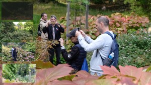 A group of men taking photos in a forest. 