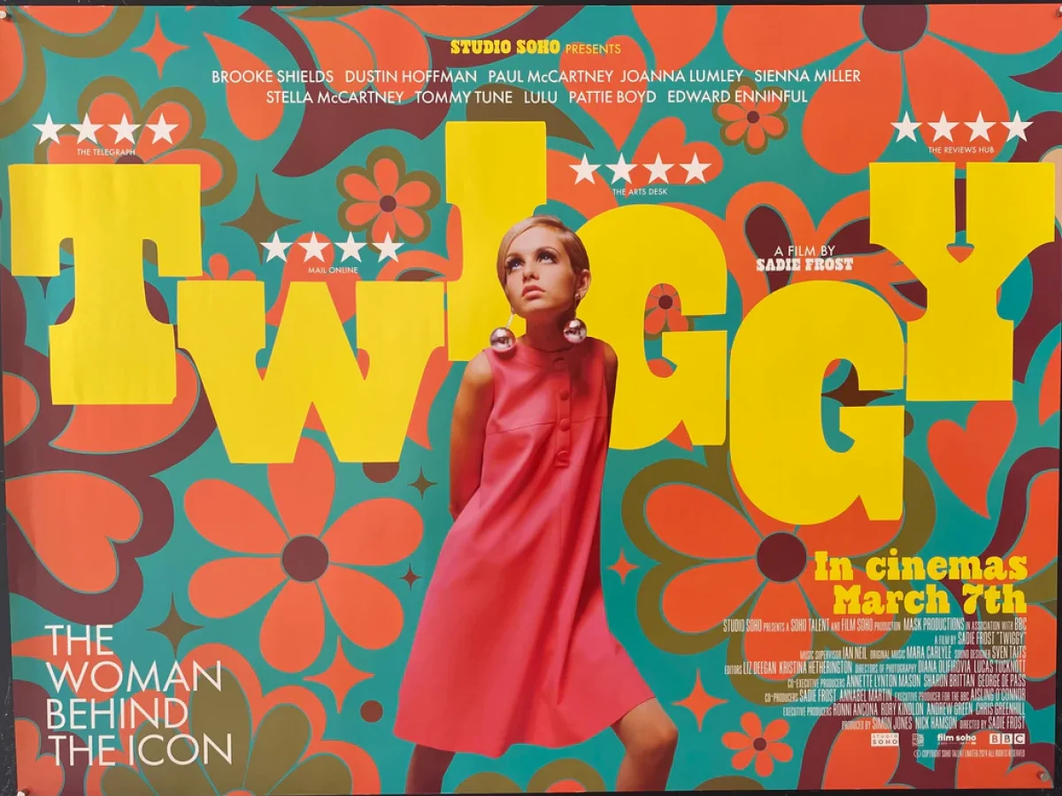 Twiggy (Paisley Docs: Rebels and Innovators) – Johnstone