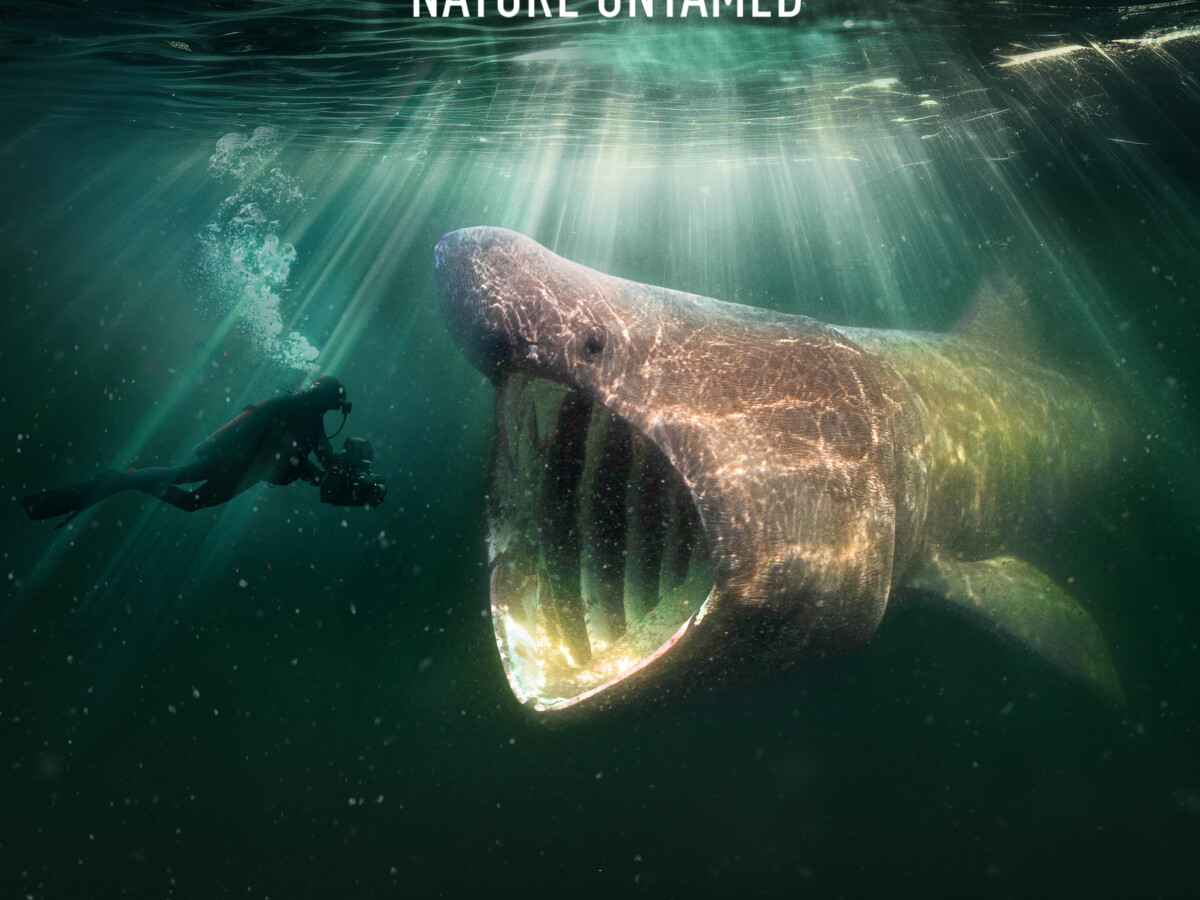 North Sea, Nature Untamed (Paisley Docs: Rebels and Innovators) – Paisley